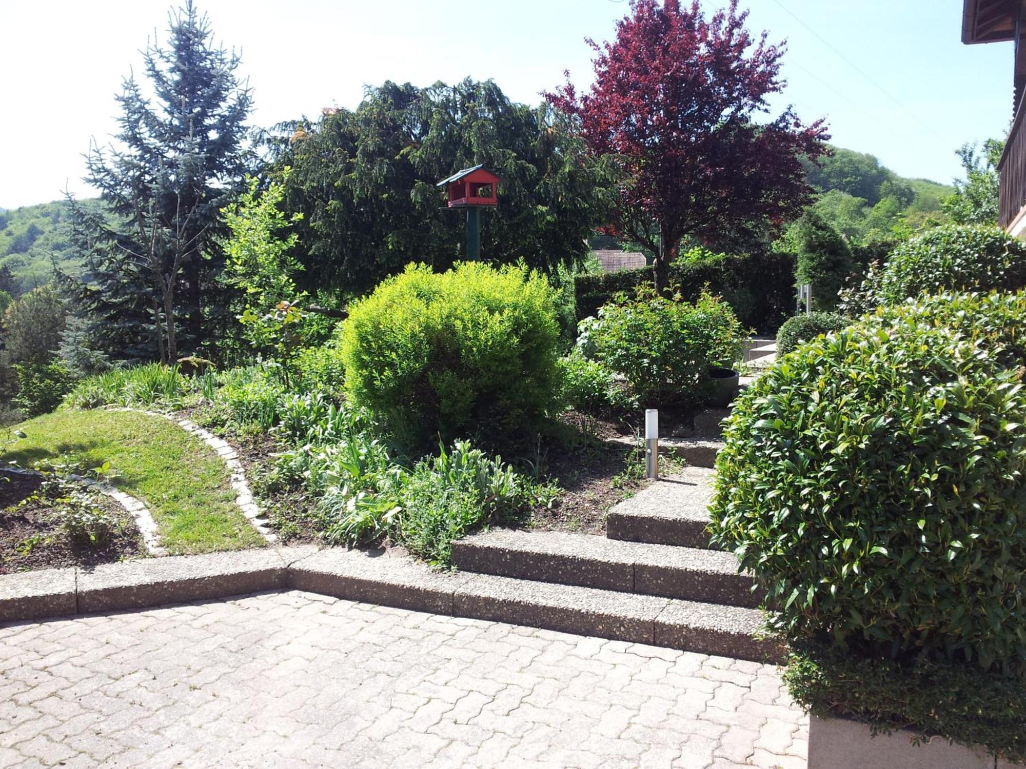 Gite Bellevue Breitenbach Экстерьер фото